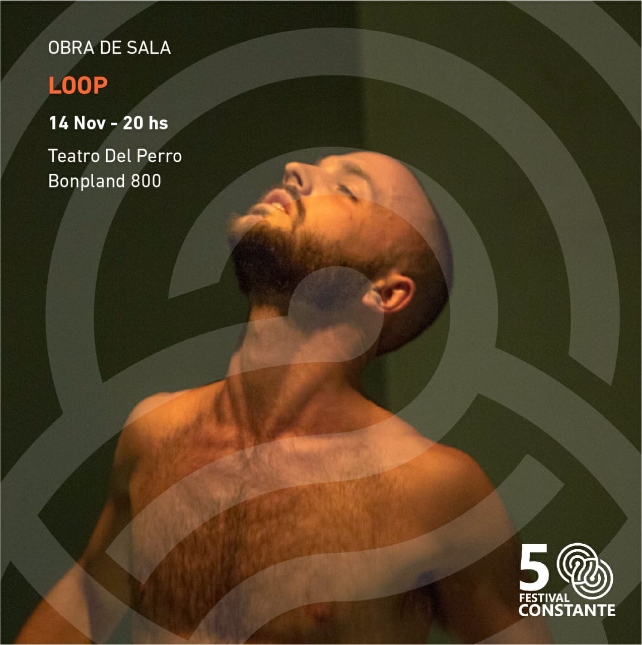 Festival Constante 15/11